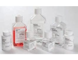 DPBS W/CA AND MG 1000ML