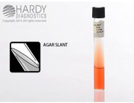 MEDIUM KIA SLANT 13X100MM TUBE PK20