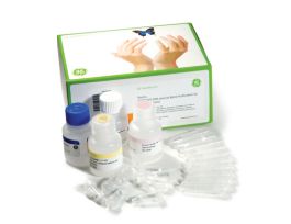 GFX PCR DNA GEL BAND PUR 100