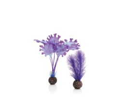 BIORB KELP SET SMALL PURPLE CS