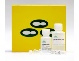 ZR-96 G-DNA CLEAN/CONC-5 (4X96 PREPS)