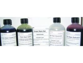 GRAM STAIN REAGENT,SAFRANIN