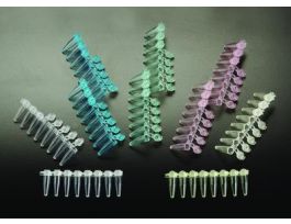 PCR 0.2ML ST/8 DOM CAP G PK125