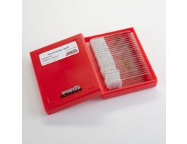 GENERAL BOTANY SET/25 WARDS ITEM