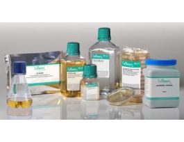 MEDIUM CULTURE YPD BROTH DEHY 500ML PK6