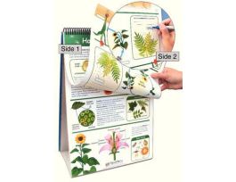 CHART GRADE 4 SCIENCE FLIP SET