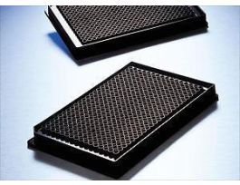 PLATE 384WL TCTRT LWVL ST CS50