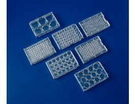PLATE POLYSTR 24WELL 2ML CS100