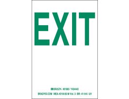 NYC Exit B523 6" x 4" Grn/Glow 10/Package