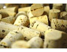 CORK XX SIZE 7 PK100