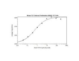RECOM E.COLI MOUSE FGF-9 >/=95% 1MG
