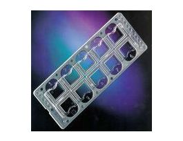 QUICK-READ 10-WELL URINE SLIDE