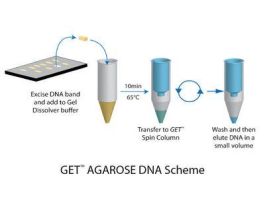 KIT AGAROSE DNA EXTRACTION GET 50PREPS