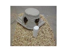 COCOON ENRICHMENT 6000/BOX.