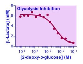 GLYCOLYSIS ASSAY KIT