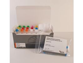 NEX MULTI SMALL RNA LIB PREP I E7580L