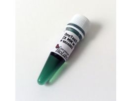 ONETAQ QUICKLD2X MSTMIX BUF500