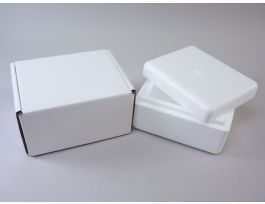 SHIPPER INSULATED 8X6.5X4.5 IN TINY CS12