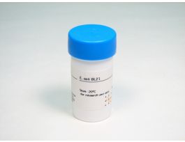 E. COLI BL21