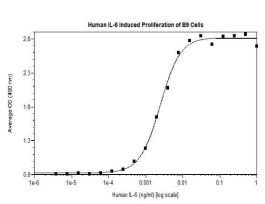 100-10-500UG HUMAN IL-6