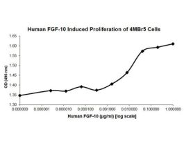 HUMAN FGF-10 25UG