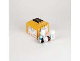 NANO-GLO(R) DLR ASY 10X10ML