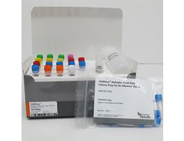 NEX MULTI SMALL RNA LIB PREP I E7580S