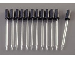 8 INCH GIANT PIPET WITH BULB EA