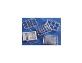 24-well Multiple-well cell culture plates with lid, treated, sterile, 50/cs