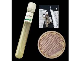 FD SERRATIA MARCESCENS 933 W/MEDIA