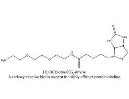 BIOTIN PEG2 AMINE KIT 10RXN
