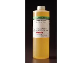 ARTIFICIAL URINE W/PHOSPHATES 500ML BTL