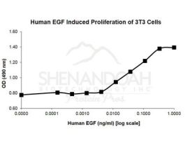 ANIMAL FREE HUMAN EGF 1MG