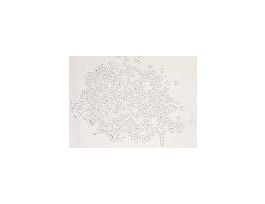 GLASS BALLS BOROSIL 3MM 1LB PK