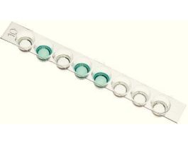 KIT IN SEARCH OF THE KISSING DISEASE