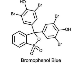 BROMOPHENOL BLUE SOD SLT 100GM