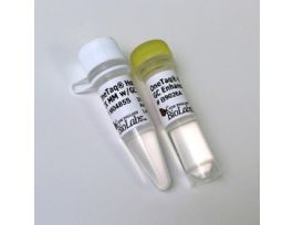 ONETAQ HTSTRT 2X MASTMIXGC100