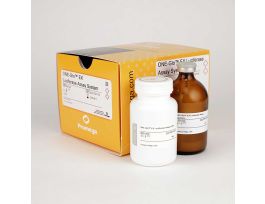 ONE-GLO EX LUCIFASYSYS 100ML