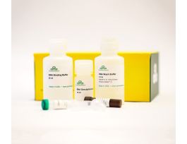 EZ RNA METHYLATION KIT THREE-STEP 50PREP