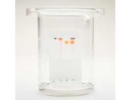 AP CHEM 5: CHROMATOGRAPHY.