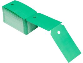 Blank Tags Polyester 5.75 in H x 3 in W Green 250/BX