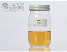 MEDIUM TRYPTIC SOY BROTH 90ML PK12