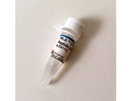 PH.D.-12 PHAGE DISPLAY PEPTIDE