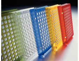 PCR PLATE 96WELL SKIRT-R CS25