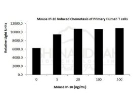 200-38-500UG MOUSE IP-10 / CXCL10
