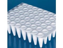 PCR Plate, 48-Well, Non-Skirted, Standard Profile, White; 20/PK