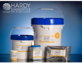 2XYT BROTH DEHYDR CULTURE MEDIA 500GM