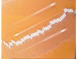 VWR PIPET SYNTHETIC COTTON PLUG CS1000