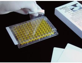 SEALING FILM SEALPLAT NS PK100