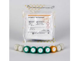 GOTAQ G2 DNA POLYMERASE 500U